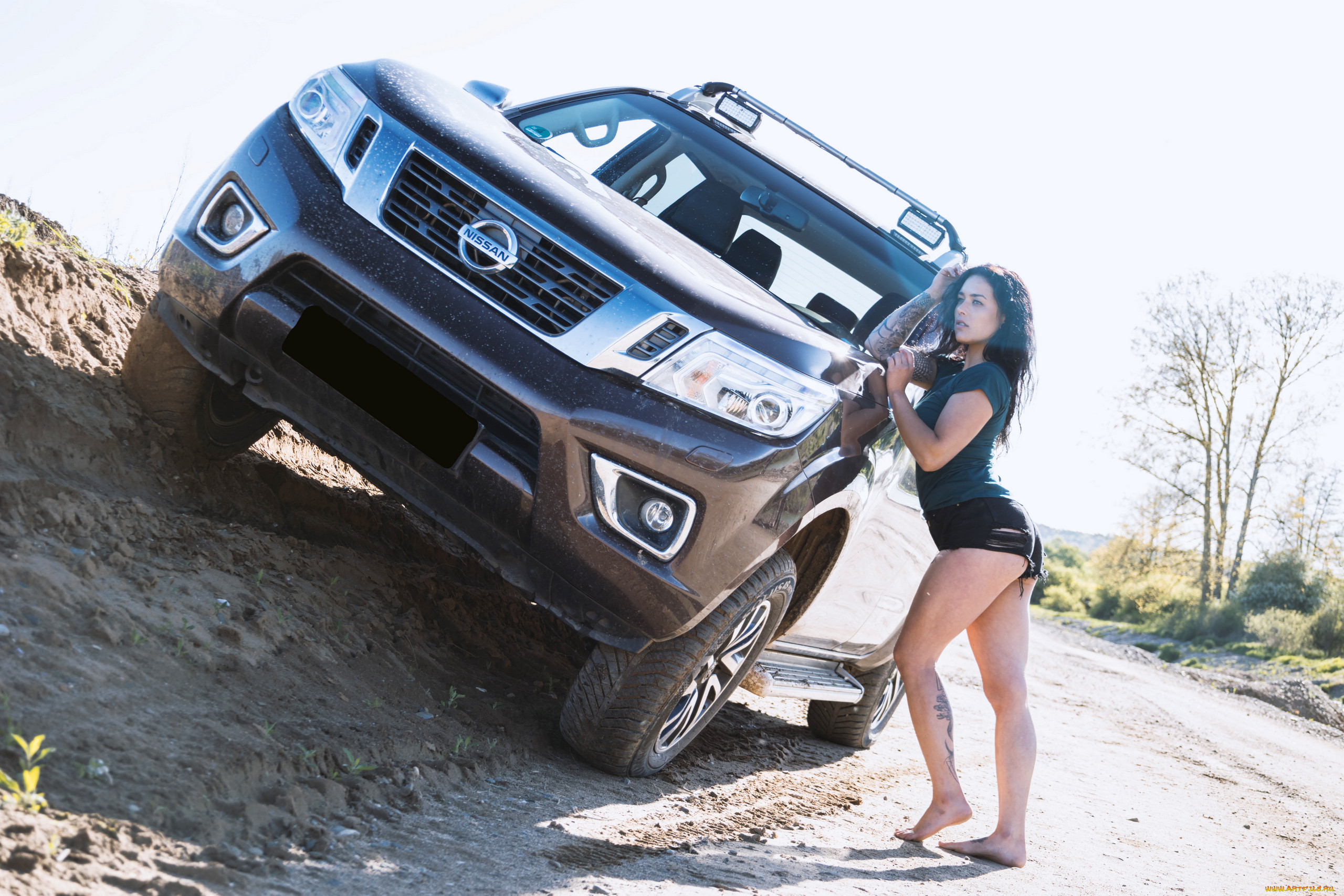 , -  , nissan, navara, terrano, , , , , , , , , , , , , , , 